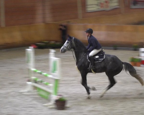 Reitturnier Mönchengladbach-Wickrath 2019