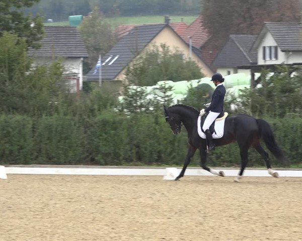 Reitturnier Deitingen 2019