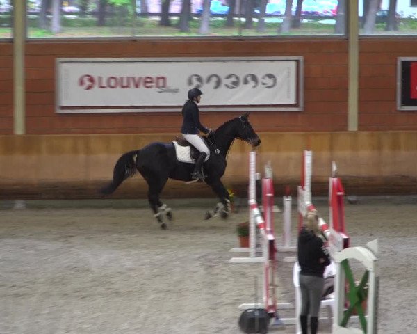 Reitturnier Mönchengladbach-Wickrath 2019