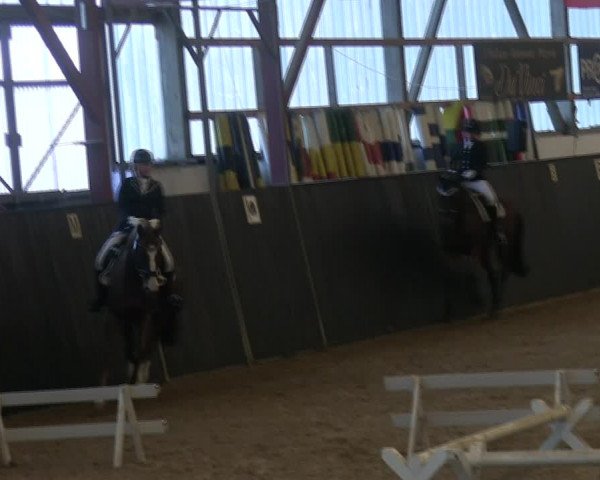 Reitturnier St. Peter Ording 2019