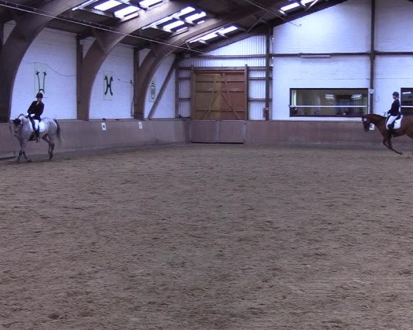Reitturnier Kellinghusen 2019