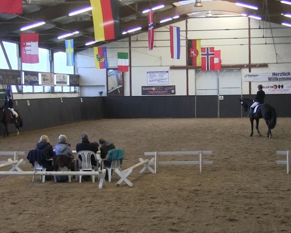 Reitturnier St. Peter Ording 2019