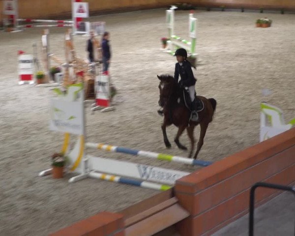 Reitturnier Mönchengladbach-Wickrath 2019