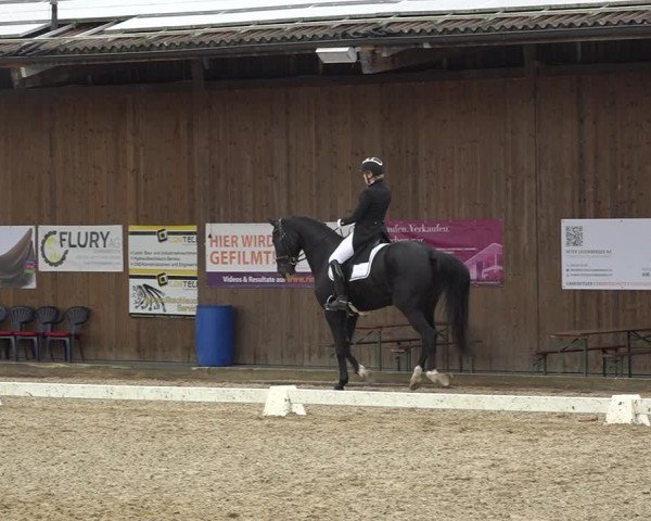 Reitturnier Deitingen 2019