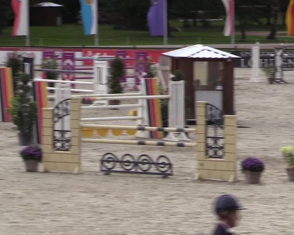 Reitturnier Westergellersen 2021