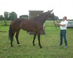 broodmare Liebeskind 4 (Westphalian, 2010, from Lord Loxley I)