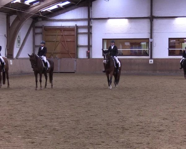 Reitturnier Kellinghusen 2019