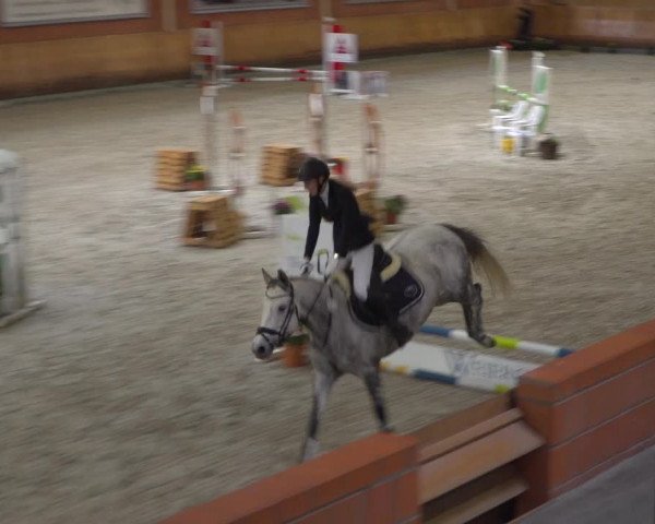 Reitturnier Mönchengladbach-Wickrath 2019