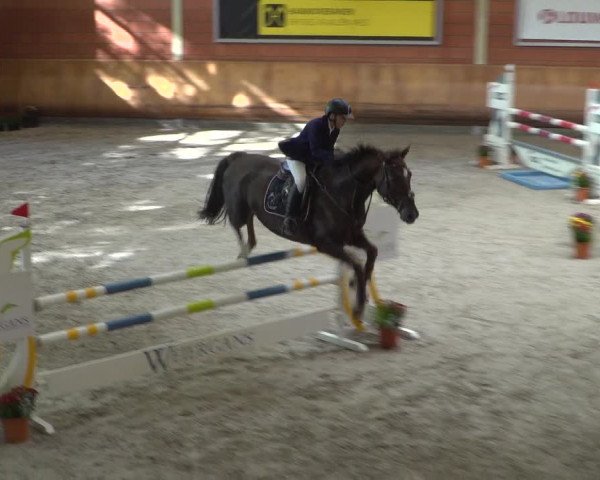 Reitturnier Mönchengladbach-Wickrath 2019