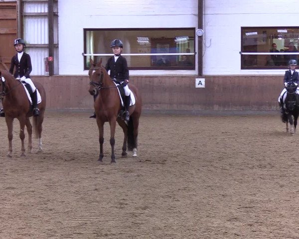 Reitturnier Kellinghusen 2019