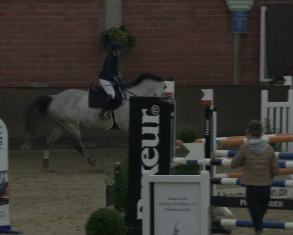 Reitturnier Hüllhorst 2019