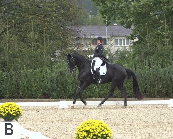 Reitturnier Deitingen 2019