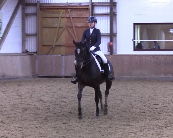 Reitturnier Kellinghusen 2019