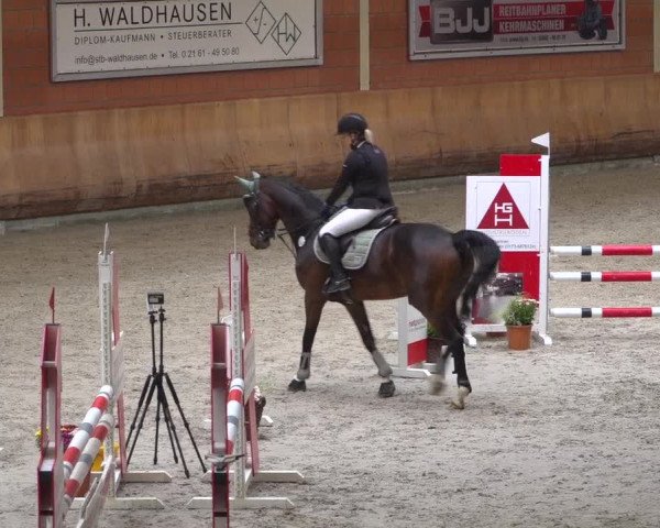 Reitturnier Mönchengladbach-Wickrath 2019