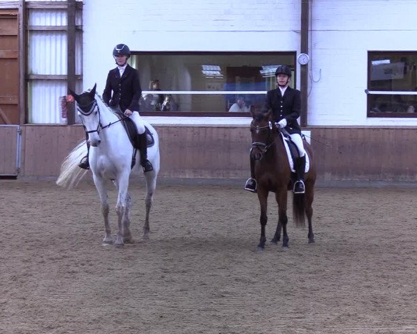 Reitturnier Kellinghusen 2019