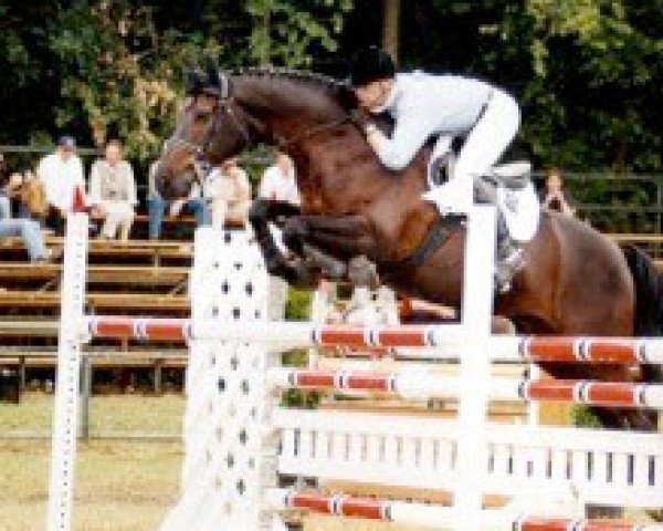 horse Goldeneye (Oldenburg, 1993, from Grannus)