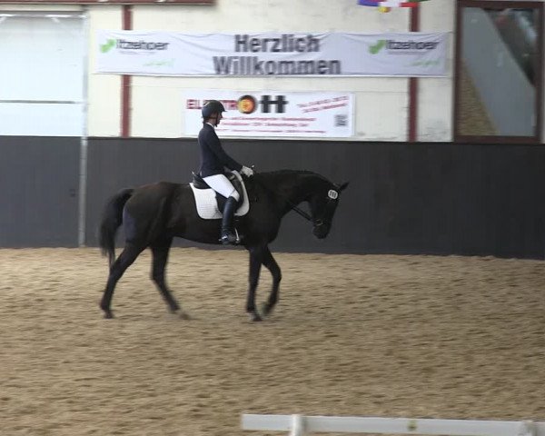 Reitturnier St. Peter Ording 2019