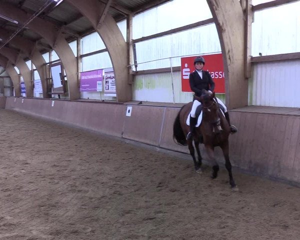 Reitturnier Kellinghusen 2019