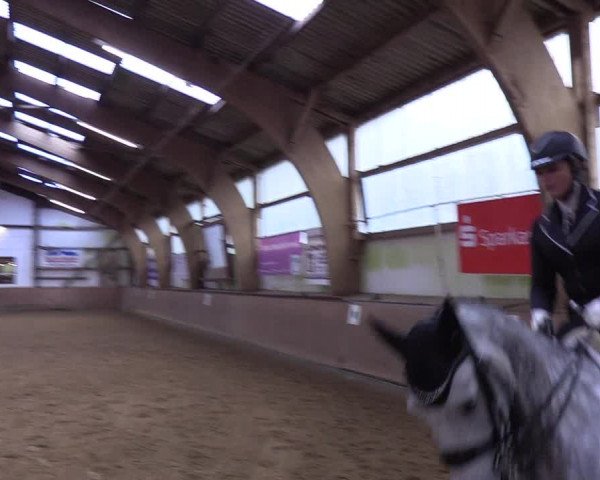 Reitturnier Kellinghusen 2019