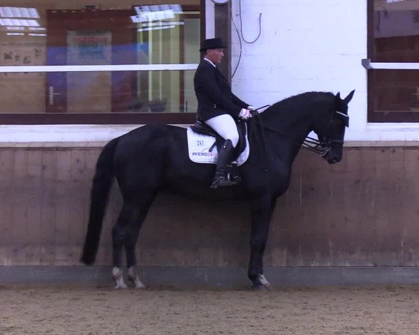 Reitturnier Kellinghusen 2019