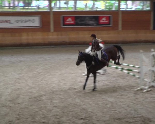 Reitturnier Mönchengladbach-Wickrath 2019