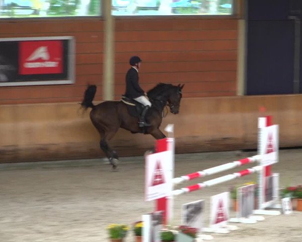 Reitturnier Mönchengladbach-Wickrath 2019