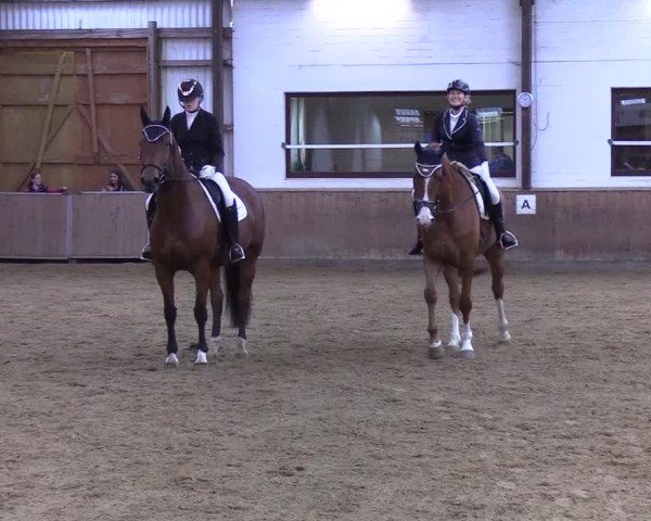 Reitturnier Kellinghusen 2019