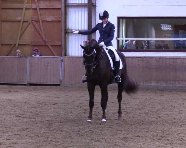 Reitturnier Kellinghusen 2019