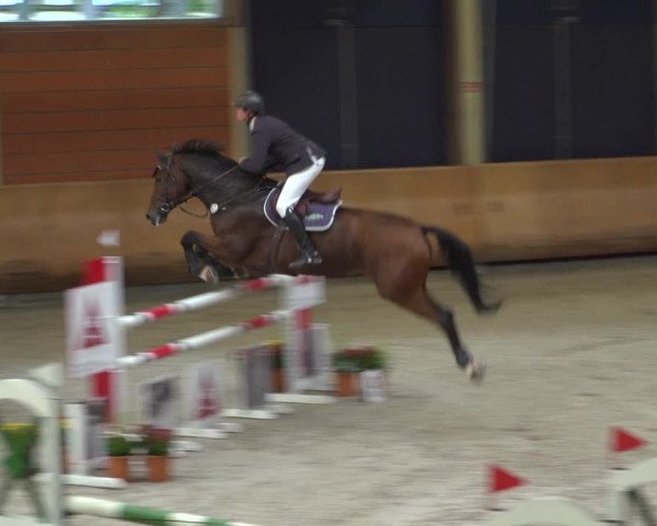 Reitturnier Mönchengladbach-Wickrath 2019