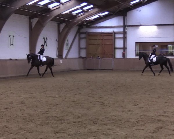 Reitturnier Kellinghusen 2019