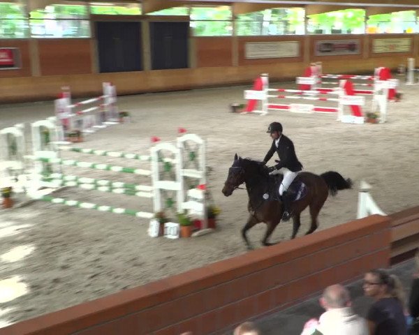 Reitturnier Mönchengladbach-Wickrath 2019