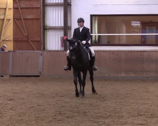 Reitturnier Kellinghusen 2019