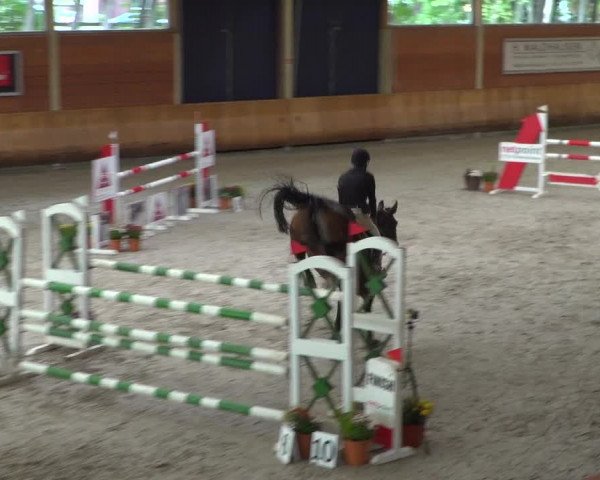 Reitturnier Mönchengladbach-Wickrath 2019