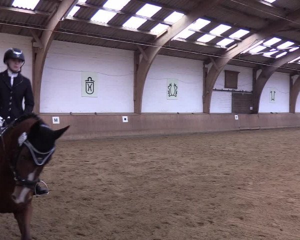 Reitturnier Kellinghusen 2019