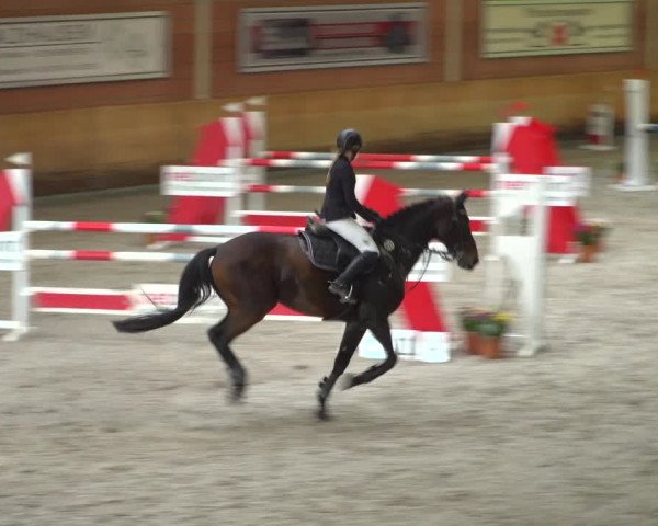 Reitturnier Mönchengladbach-Wickrath 2019