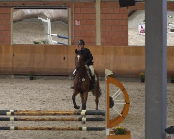 Reitturnier Mönchengladbach-Wickrath 2019