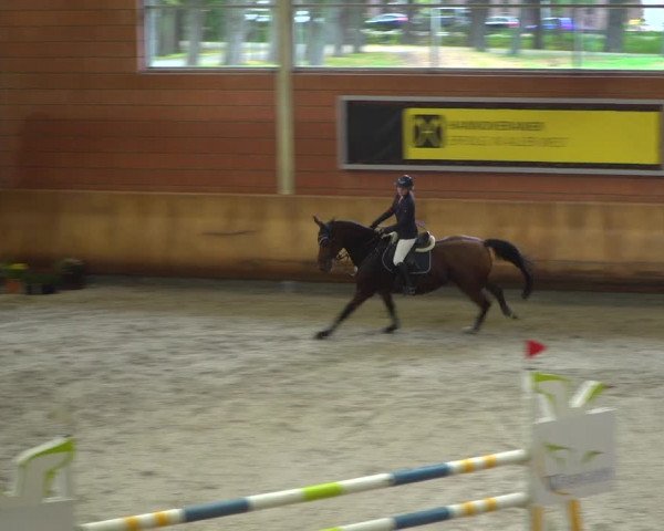 Reitturnier Mönchengladbach-Wickrath 2019