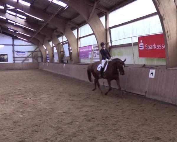 Reitturnier Kellinghusen 2019