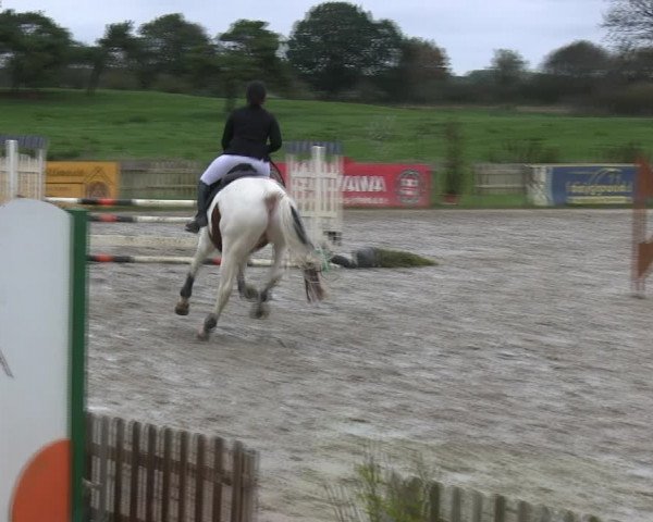 Reitturnier Schülp / Rendsburg 2019
