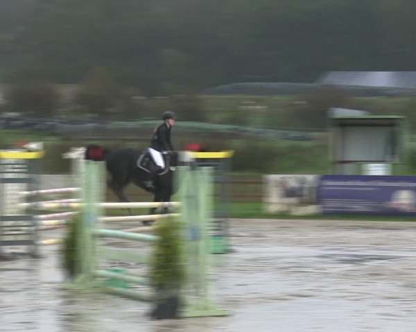 Reitturnier Schülp / Rendsburg 2019