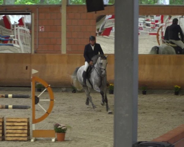 Reitturnier Mönchengladbach-Wickrath 2019