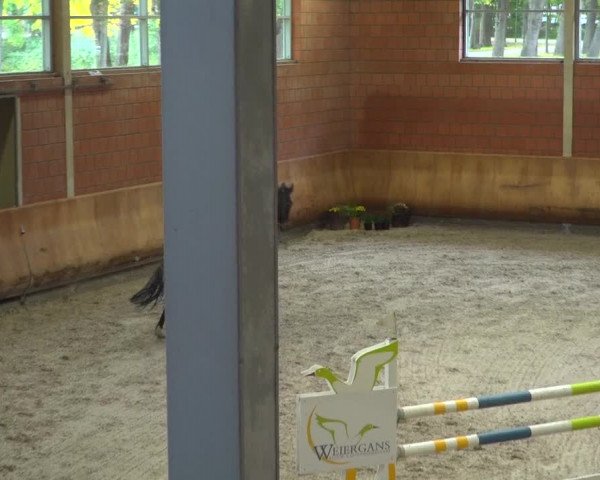 Reitturnier Mönchengladbach-Wickrath 2019