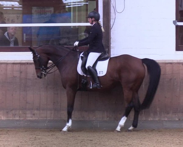 Reitturnier Kellinghusen 2019