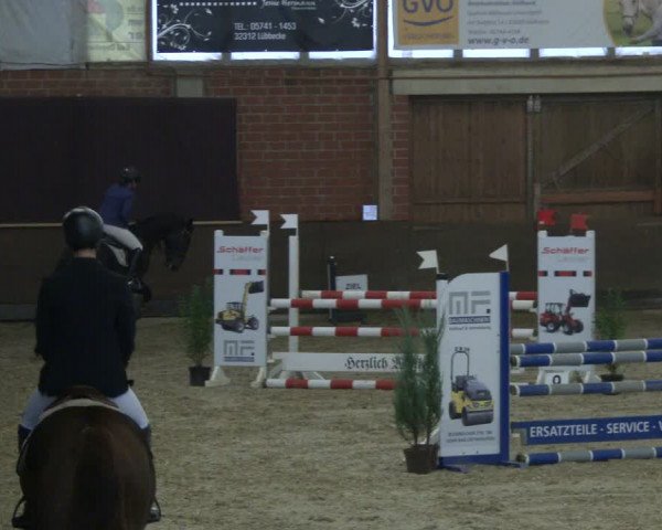 Reitturnier Hüllhorst 2019