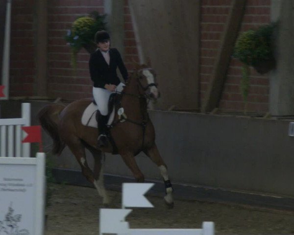 Reitturnier Hüllhorst 2019
