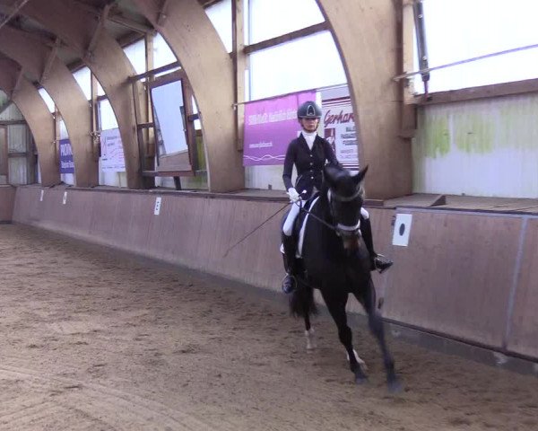 Reitturnier Kellinghusen 2019