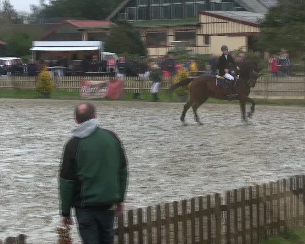 Reitturnier Schülp / Rendsburg 2019