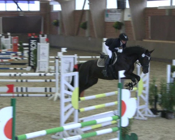 Reitturnier Hüllhorst 2019