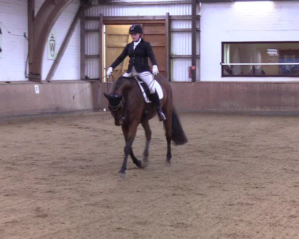 Reitturnier Kellinghusen 2019