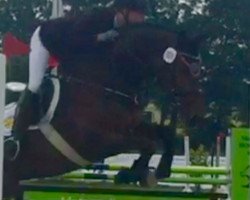 dressage horse Summersweet (Westphalian, 2011, from Silbermond)